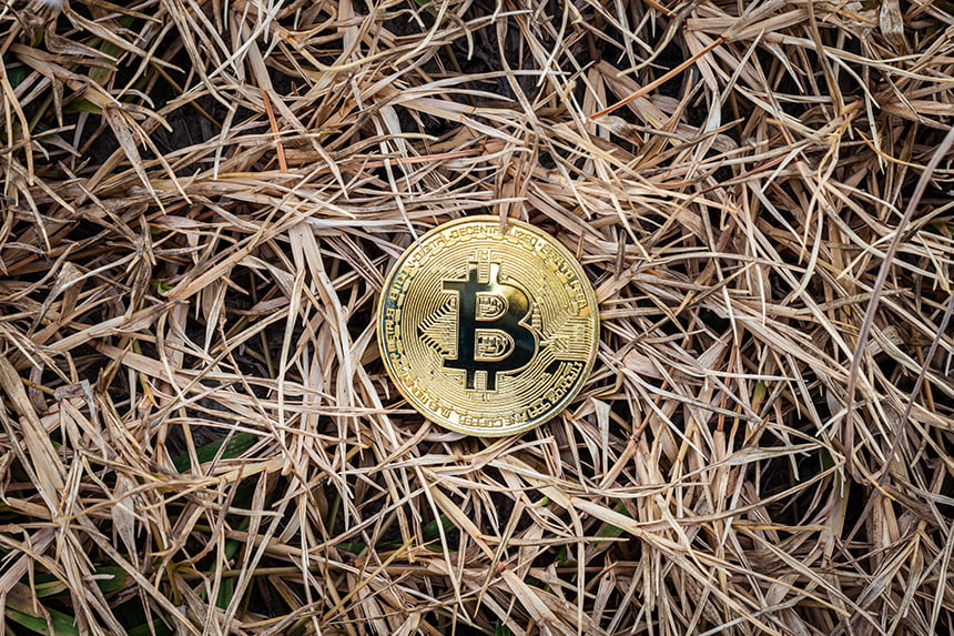 buy land with bitcoin