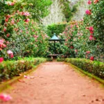 types of gardens